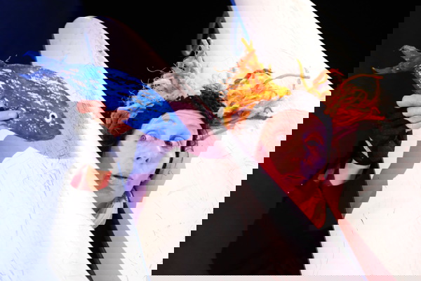 Der Dickste Pinguin Vom Pol 13