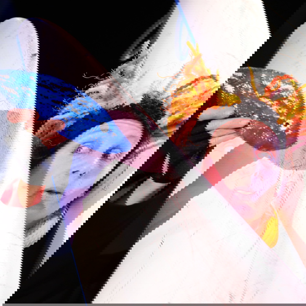 Der Dickste Pinguin Vom Pol 13