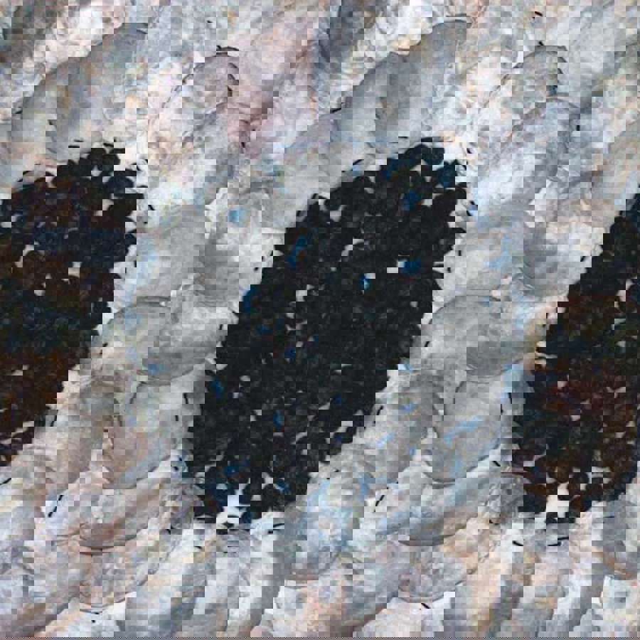 AUSSTELLUNG