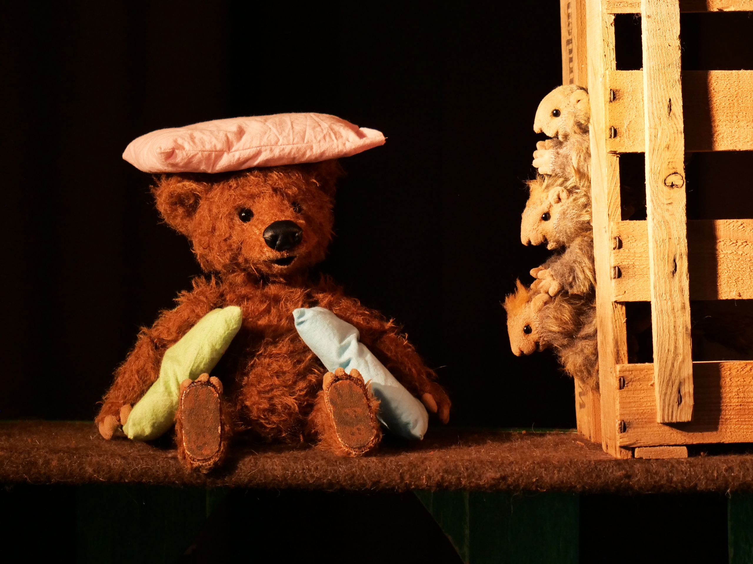 Der Bär hat es schwer