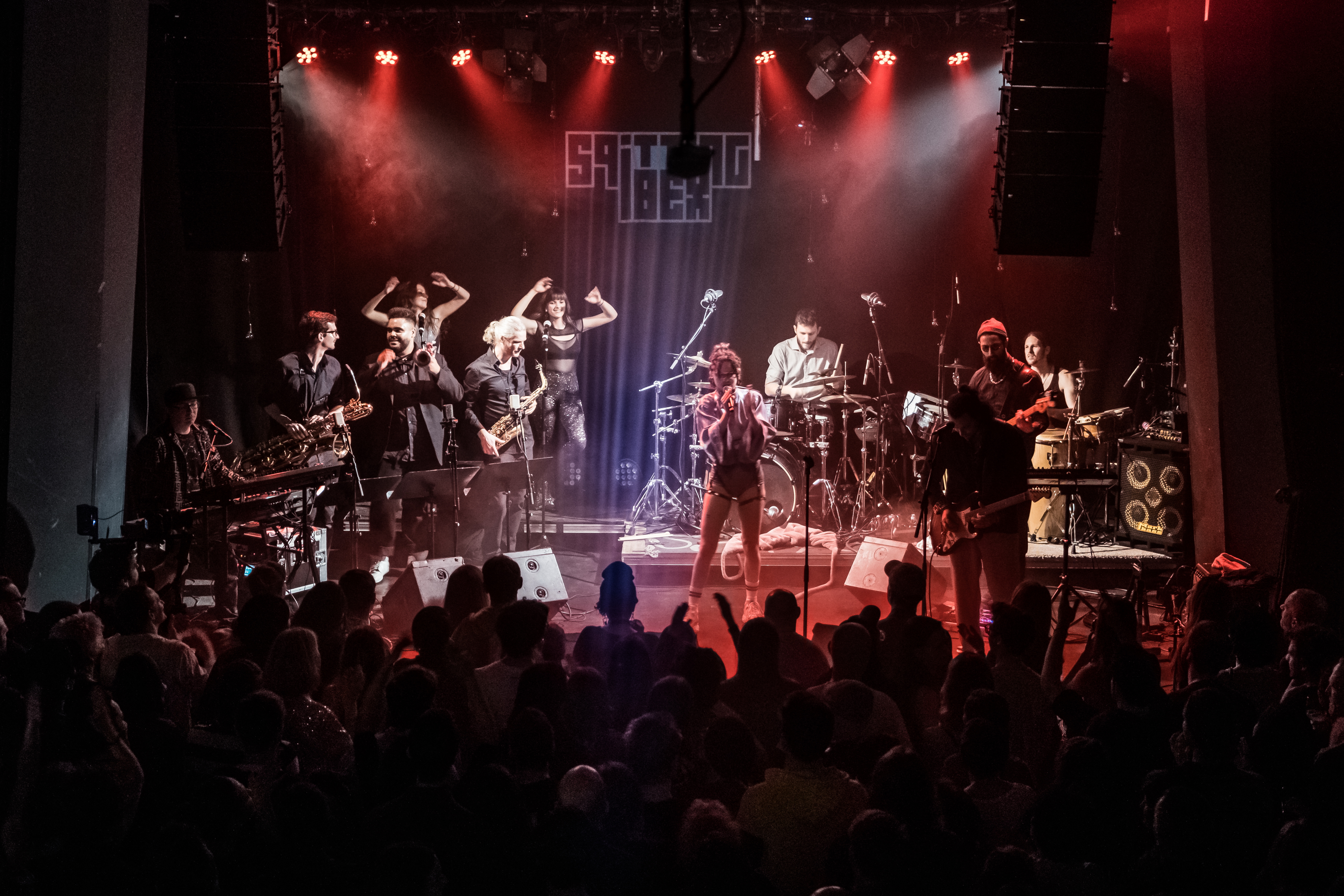 Spitting Ibex Live 1 (C) Andreas Mueller