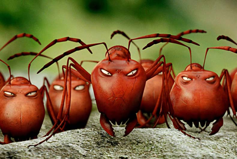 Diewinzlinge Szenenbild 09